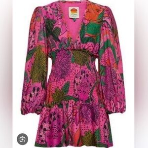 FARM Rio Anthropologie Pink and Green Floral Dress